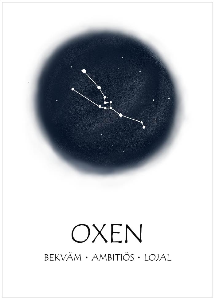 Stjärntecken rund natthimmel Oxen - Svensk text